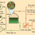 Ngành công nghiệp khí sinh học làm giảm ô nhiễm môi trường, thúc đẩy phát triển nông nghiệp hữu cơ
