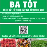 Trang truy xuất nguồn gốc sản phẩm BA TỐT