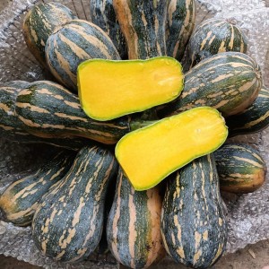 Bí ngô Mộc Châu