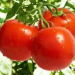 Nhà thừa quá nhiều cà chua, thử làm ngay món kẹo dẻo chua chua ngọt ngọt khiến trẻ con thích mê