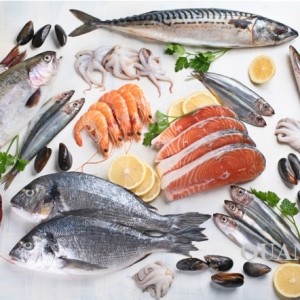 Hải sản/ Frozen Seafoods