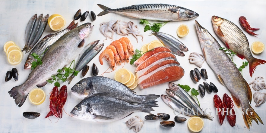 Hải sản/ Frozen Seafoods