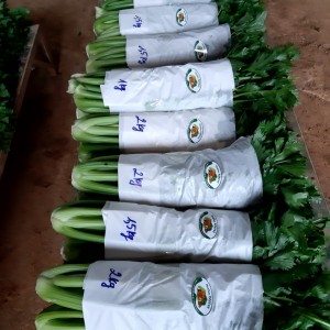 Rau hữu cơ/Organic Vegetables