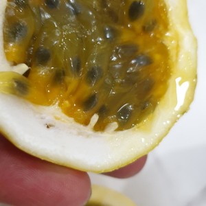 Chanh leo vàng hương ổi (chanh ngot, thom)