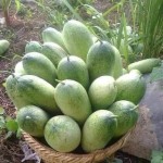 Hàng trải nghiệm