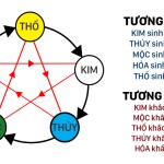 Những Điều Gia Chủ Cần Biết Về Phong Thủy Khi Xây Nhà