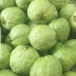 Ổi ngon hữu cơ Ba Tốt