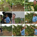 Những video chế tạo và hướng dẫn chế phẩm vi sinh EM và men vi sinh IMO cho chăn nuôi, trồng trọt và nông sản hữu cơ