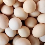 Trứng hữu cơ