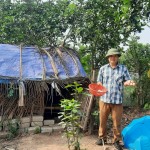 Vườn hữu cơ Ba Tốt tại Hưng Yên